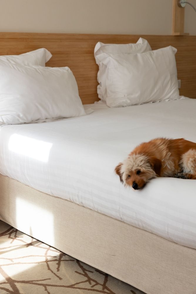 Grand Hotel Francais - ex. Best Western Comfort with 1 double bed, non-smoking