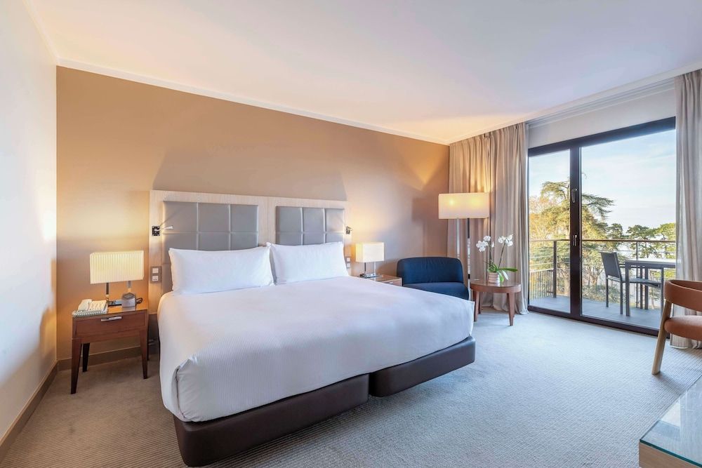 Deluxe Suite, 1 King Bed, Lake View
