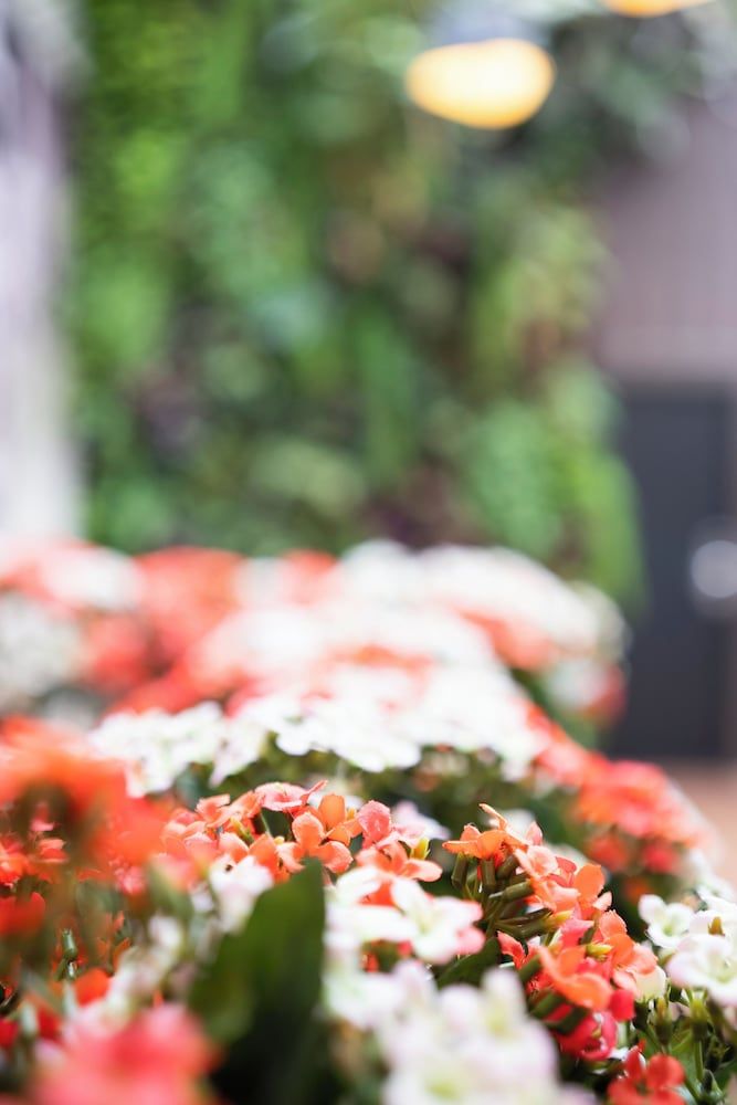 undefined Hotel Aida Marais Printania 6