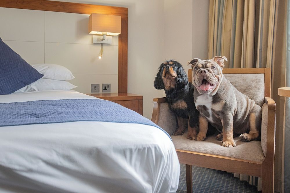 Riverside Hotel Standard Double Room 8