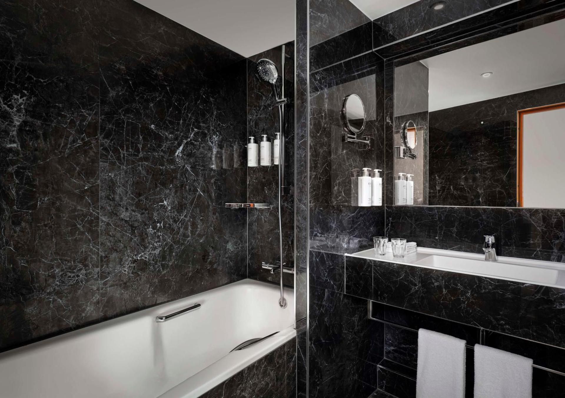 undefined Park Plaza Victoria London 4