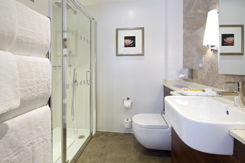 undefined The Rembrandt 10