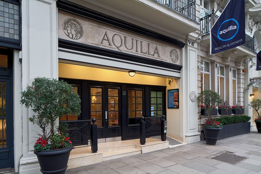 undefined The Rembrandt 2