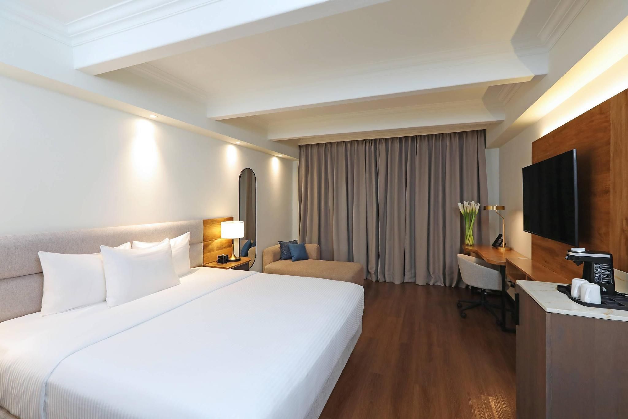 1 King Bed No Smoking Accessible