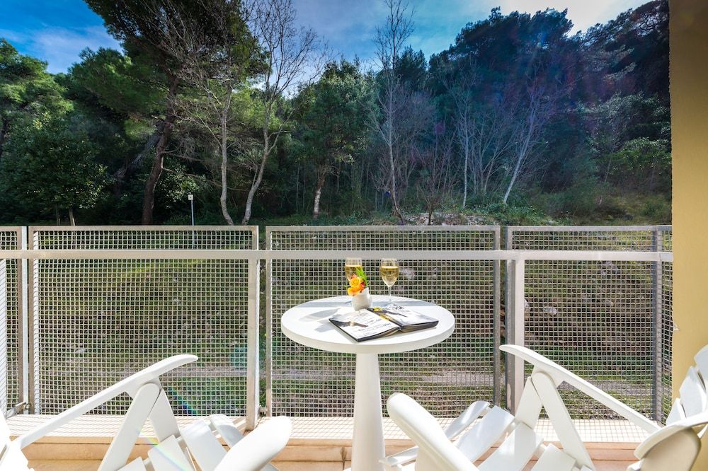 Hotel Uvala Standard Double Room, Park View 5