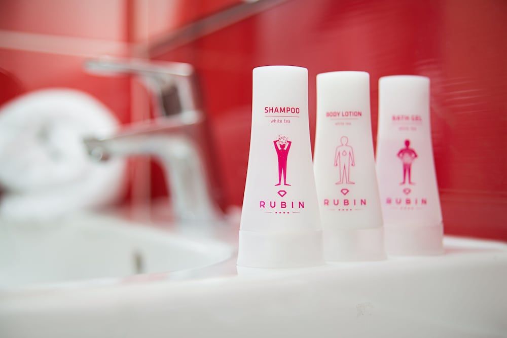 Rubin Wellness & Conference Hotel Economy Room 3