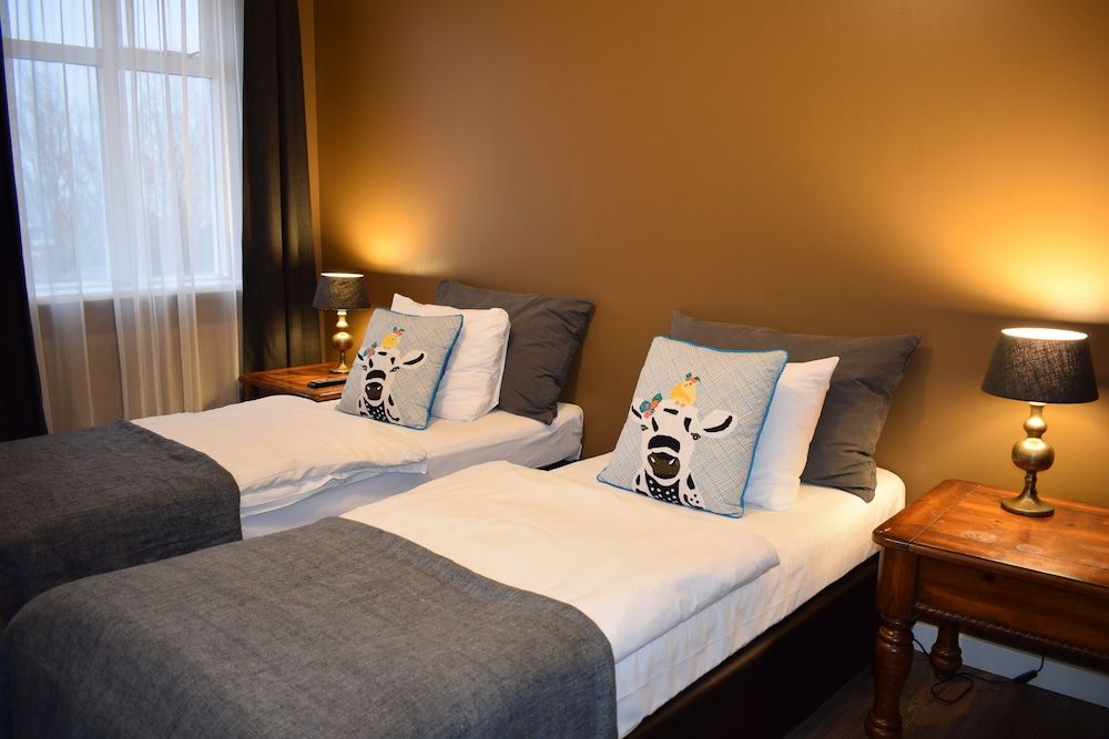 Hotel Leifur Eiriksson Standard Double or Twin Room 2