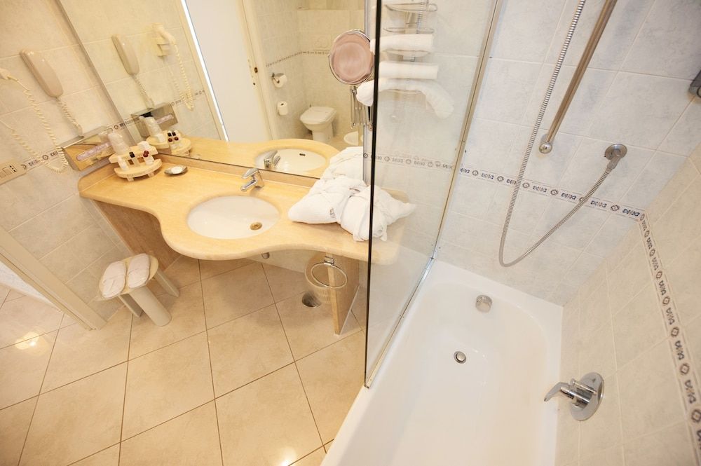 undefined Hotel Weber Ambassador 10
