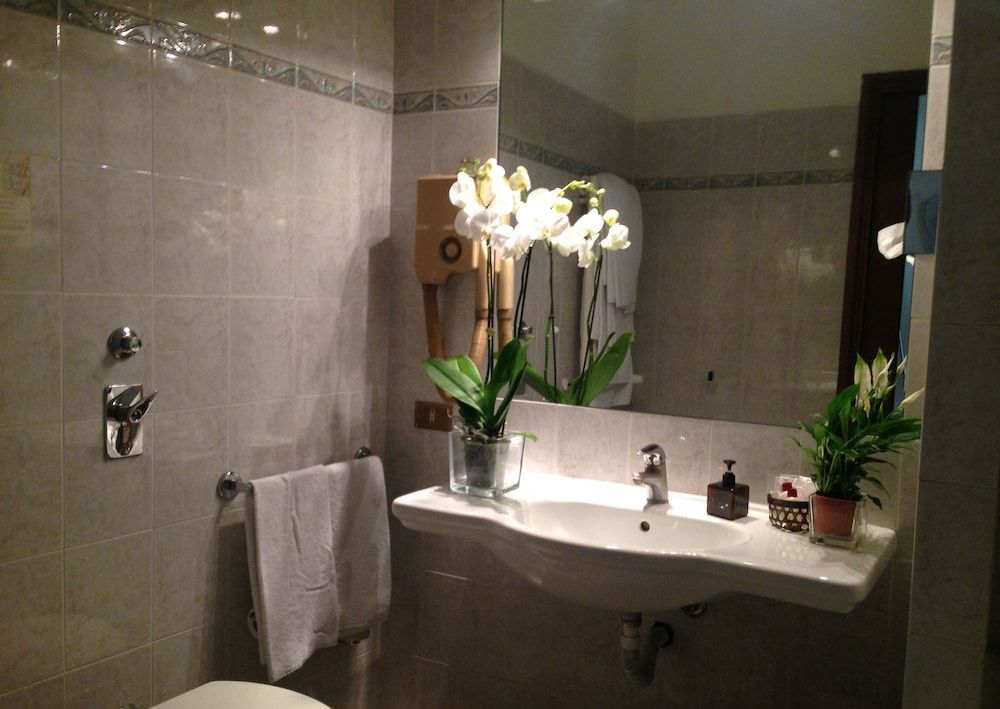 Hotel Mennini Standard Double or Twin Room 7