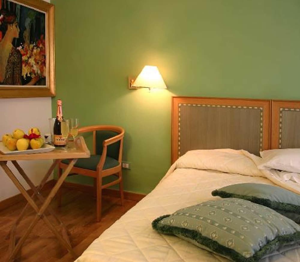Hotel Touring Pisa Standard Double Room 5
