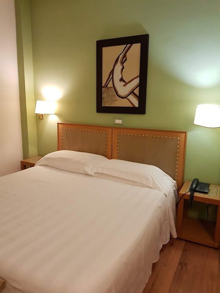Hotel Touring Pisa Standard Double Room 7