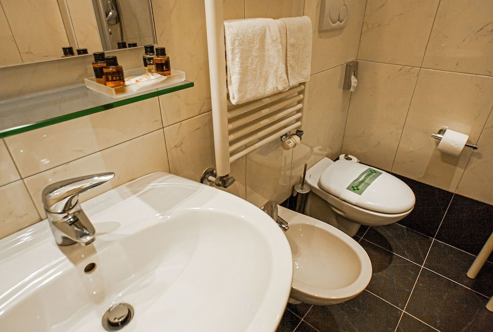 Viktoria Palace Hotel Standard Double Room 7