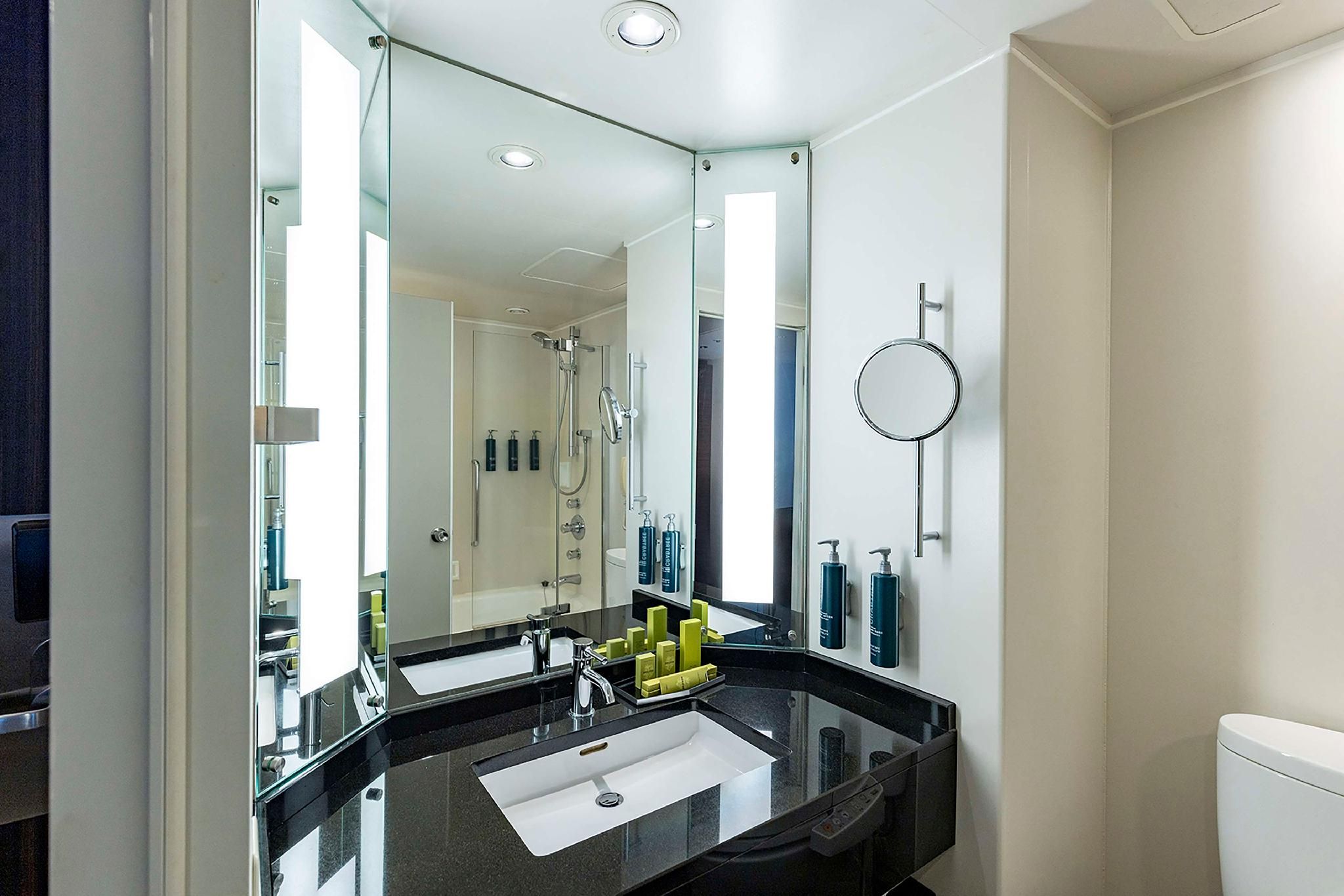 Hilton Tokyo Twin Deluxe 8