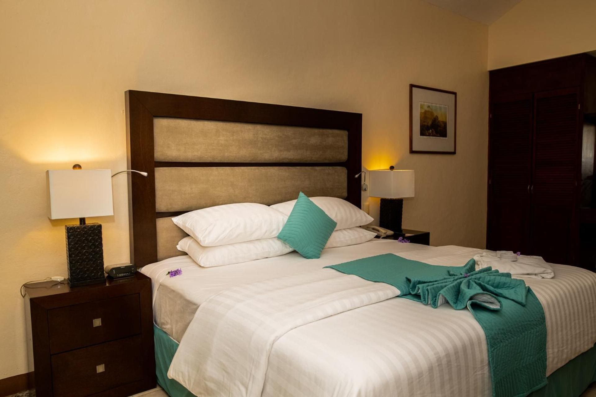 Deluxe King Suite