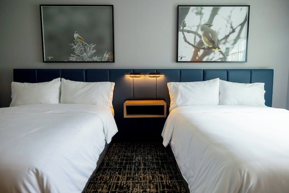 undefined voco Saltillo Suites by IHG 9