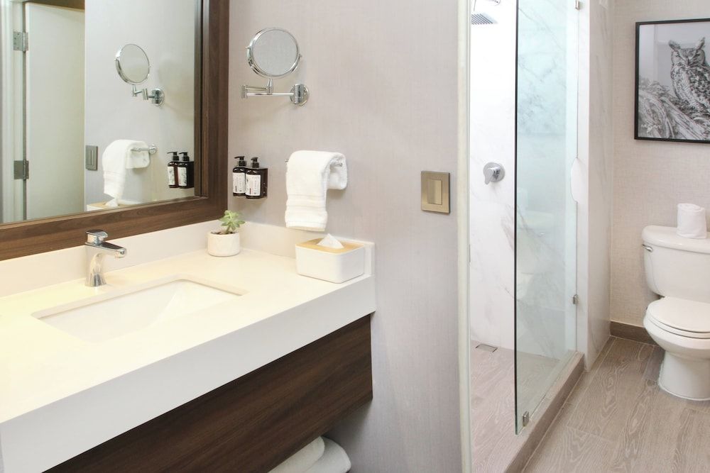 voco Saltillo Suites by IHG Standard Room, 1 King Bed 6