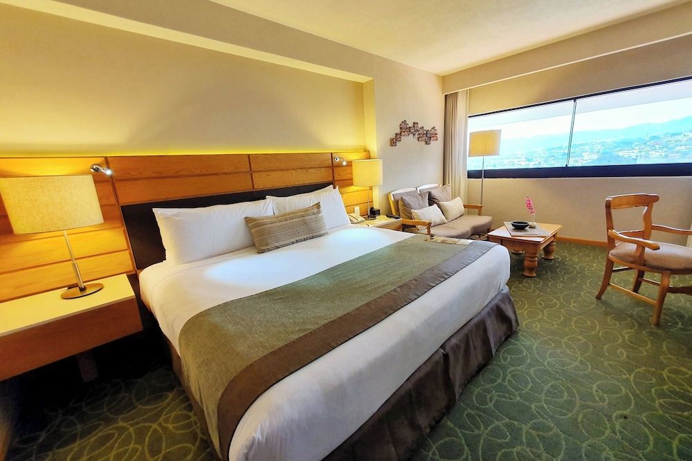 Room, 1 King Bed