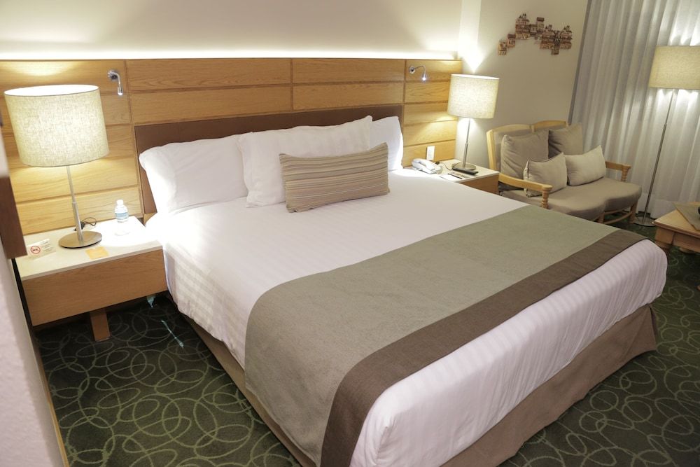Room, 1 King Bed