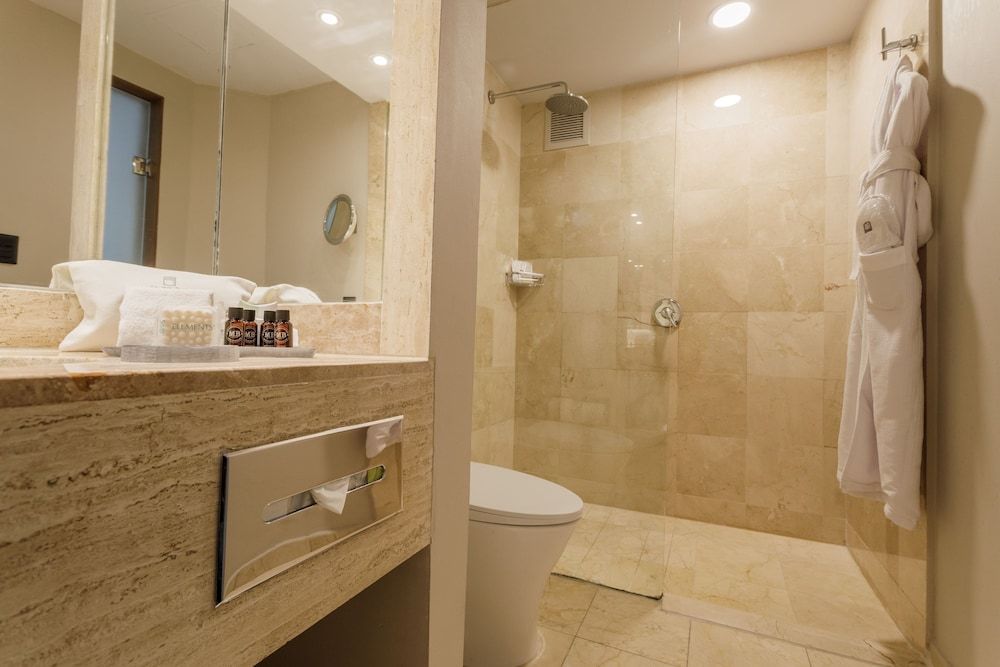 Camino Real Aeropuerto Mexico Superior Deluxe King 5