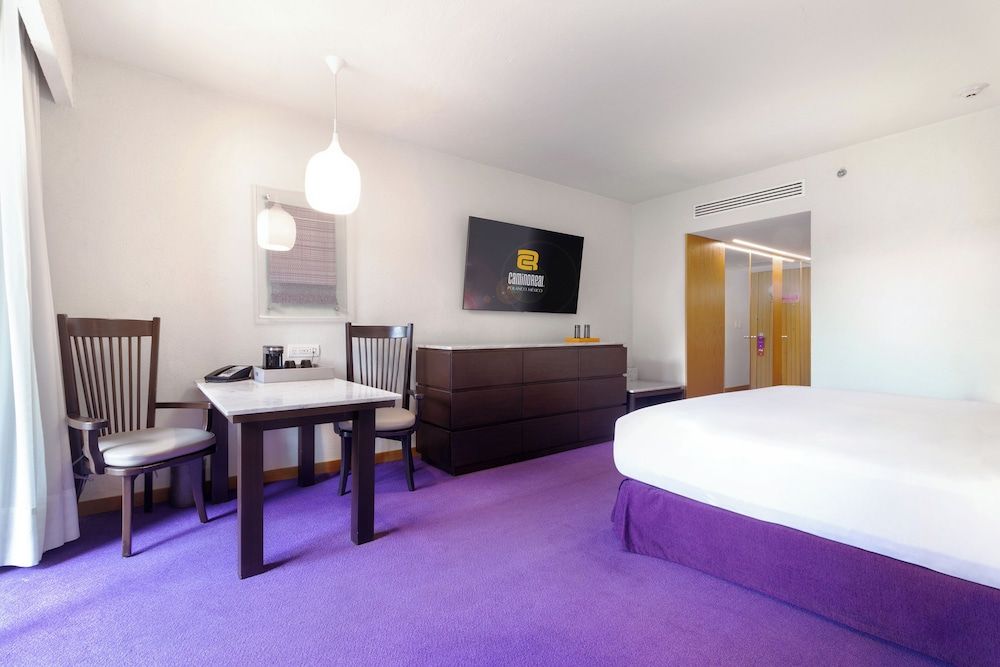 undefined Camino Real Polanco Mexico 5