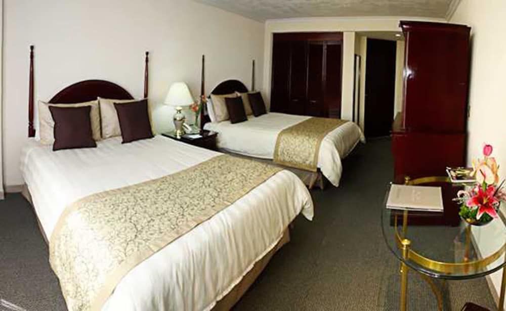 undefined Hotel Pedregal Palace 3