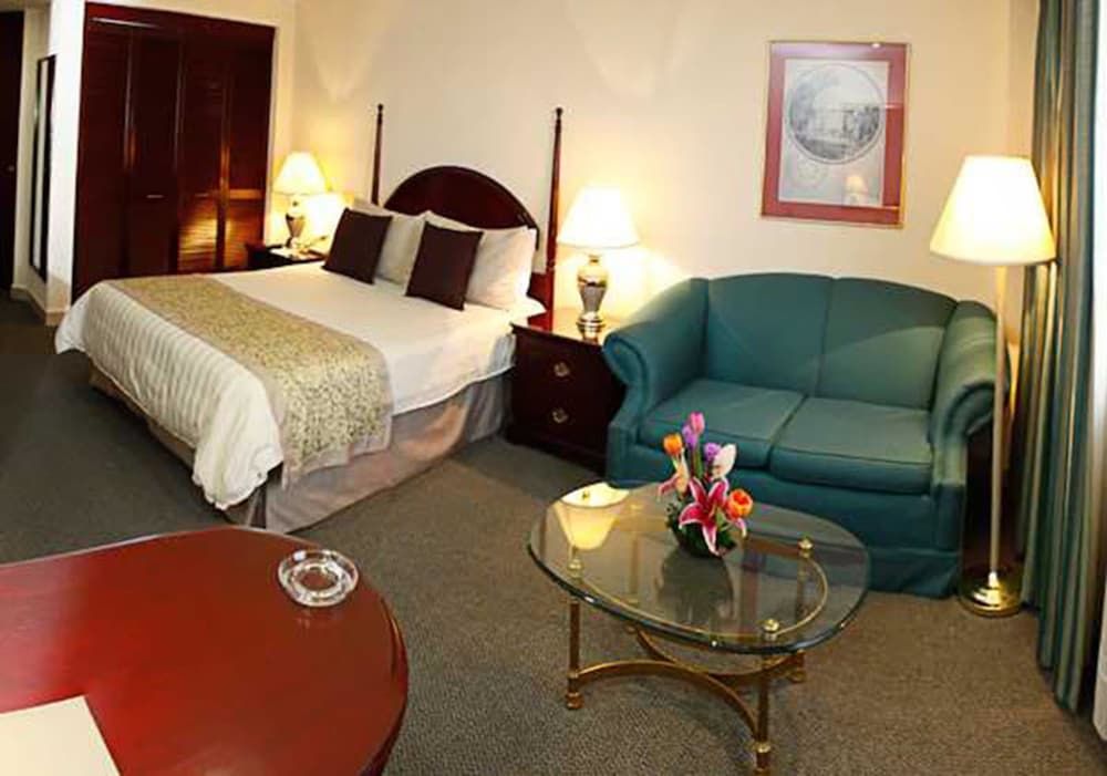 undefined Hotel Pedregal Palace 6