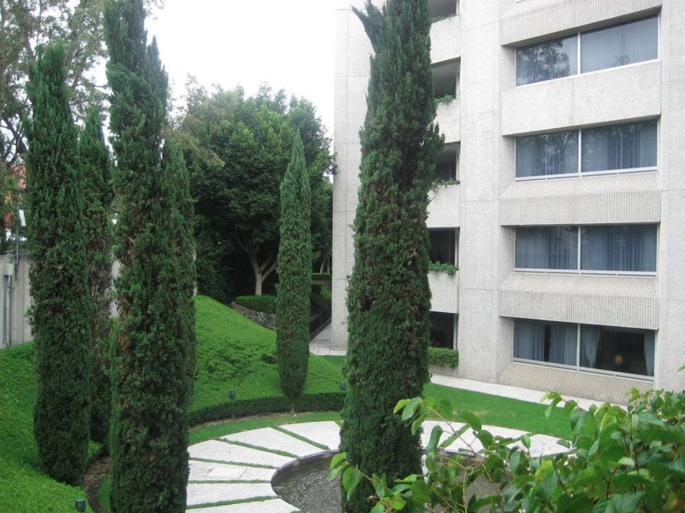 undefined Royal Pedregal Hotel 8