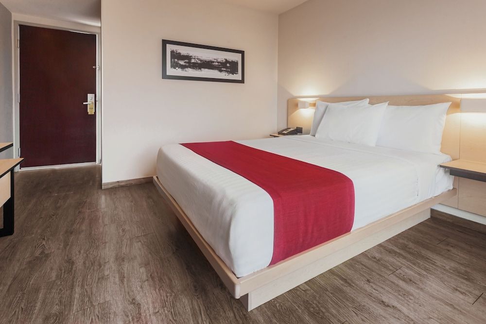 Room, 1 Queen Bed