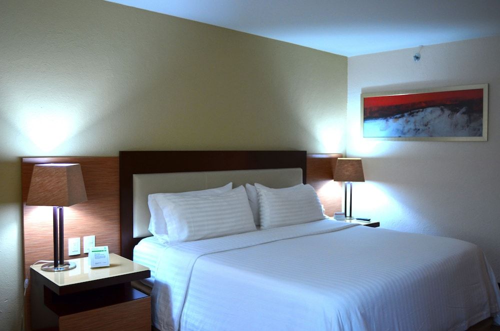Premium Room, 1 King Bed (Walk-In Shower)