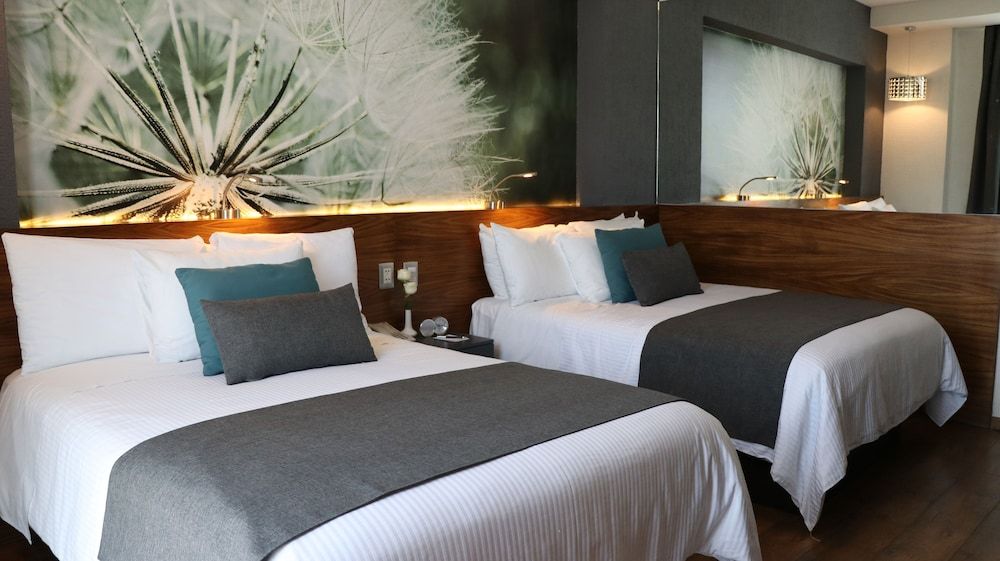 Mesón Ejecutivo Guadalajara Minerva - Av México Superior Double Room, 2 Double Beds 5