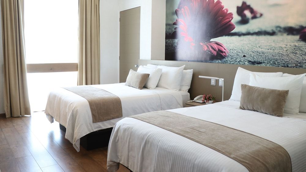 Mesón Ejecutivo Guadalajara Minerva - Av México Superior Double Room, 2 Double Beds 6