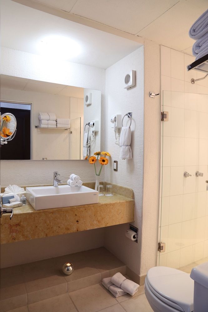 Mesón Ejecutivo Guadalajara Minerva - Av México Superior Double Room, 2 Double Beds 10