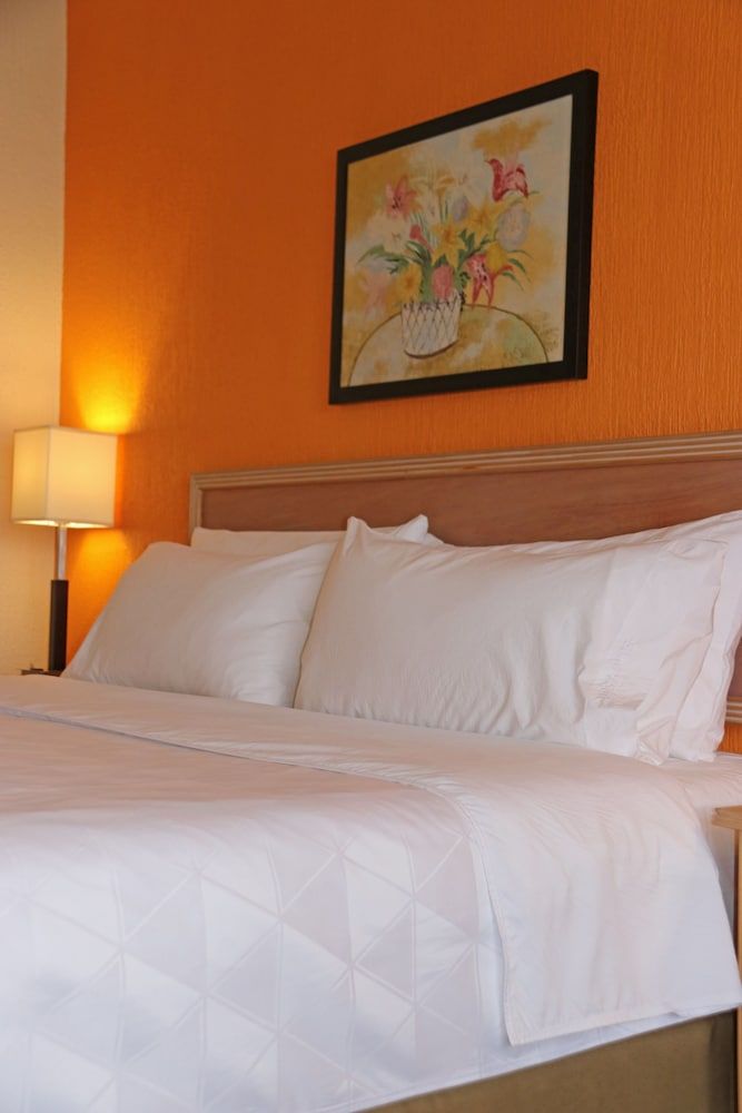 Standard Room, 1 King Bed, Accessible