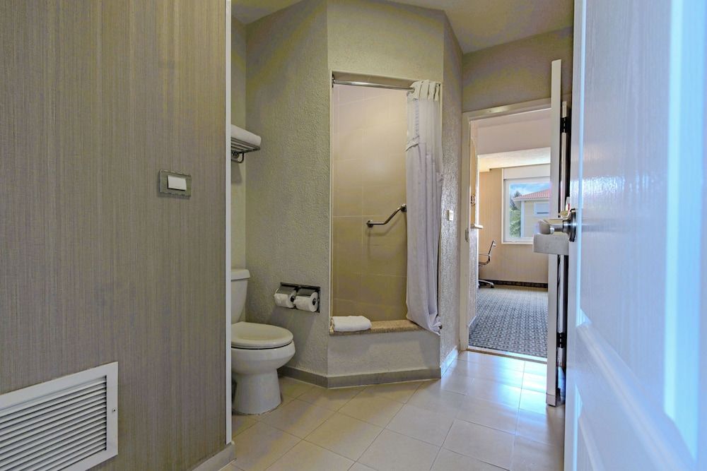 Suite, 1 King Bed with Sofa bed