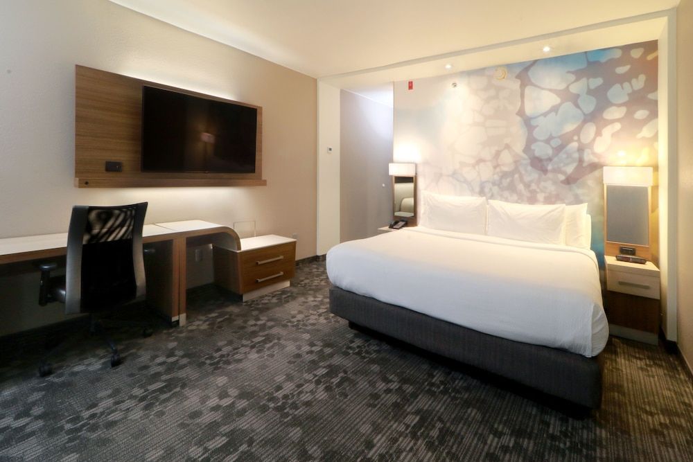Room, 1 King Bed with Sofa bed