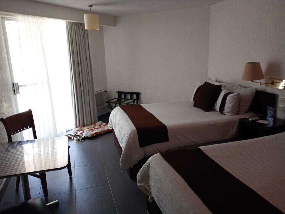 Room (Dog Friendly)