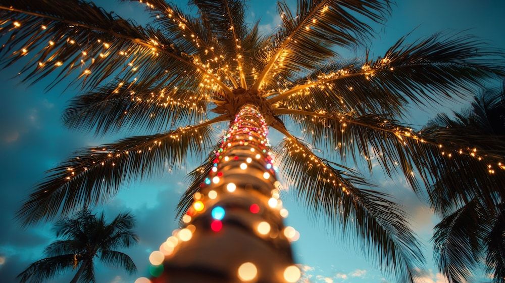 undefined BlueBay Grand Esmeralda All Inclusive 5