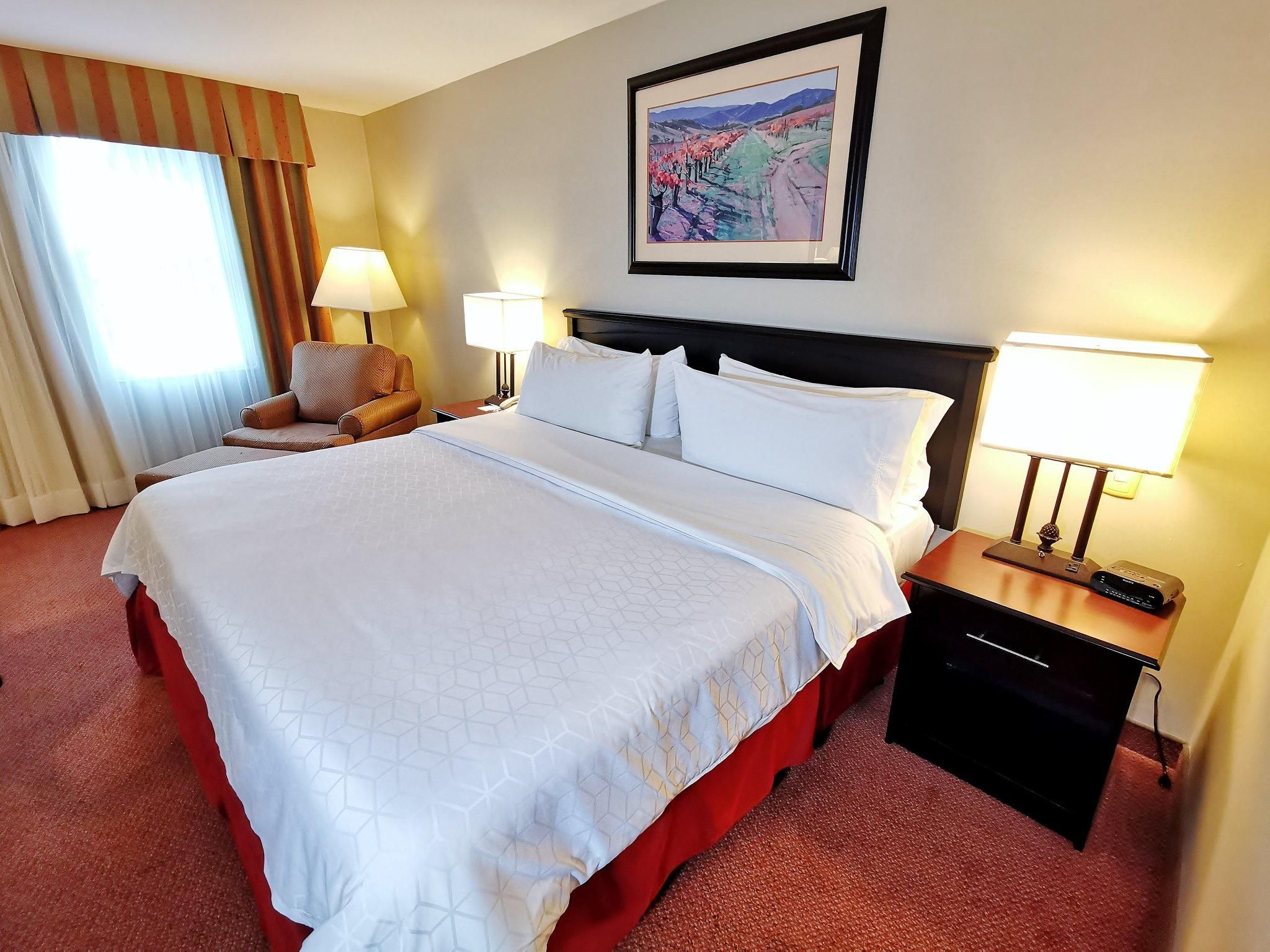 Holiday Inn Reynosa Zona Dorada by IHG 1 King Standard 2