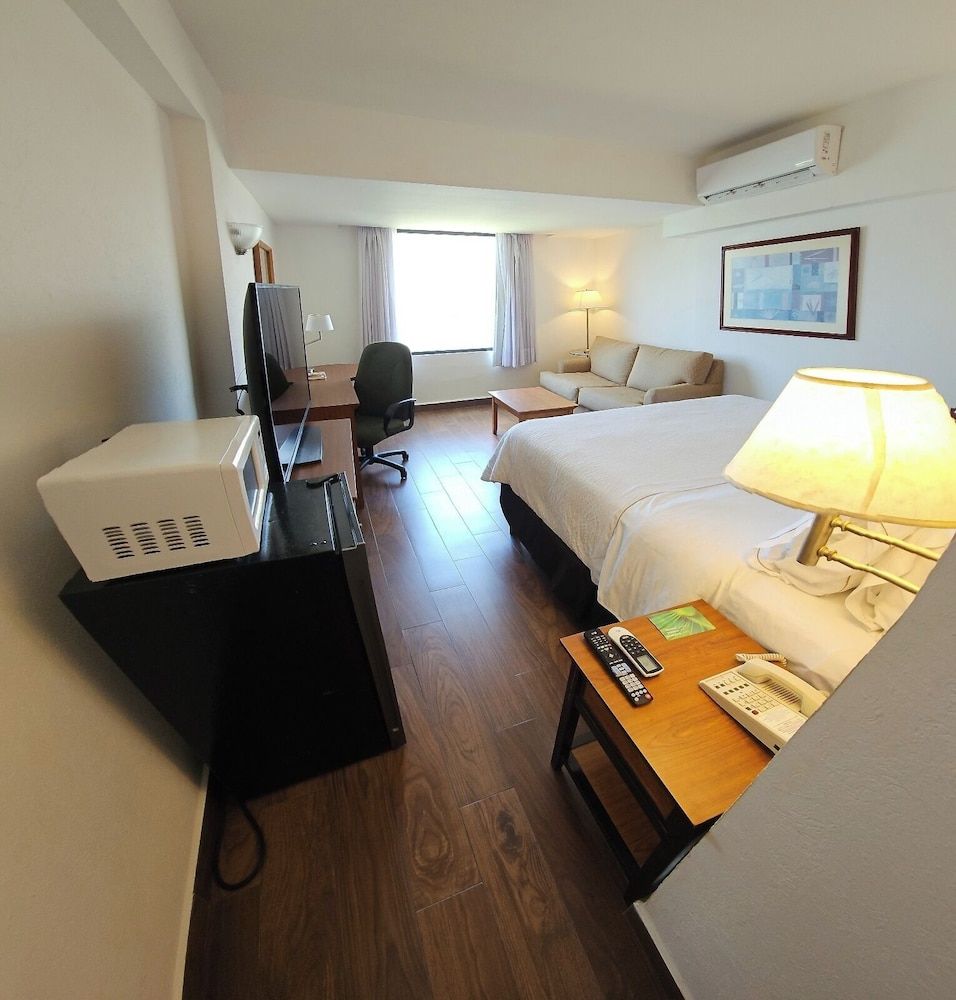 Fiesta Inn Tampico Superior Room, 1 King Bed, Lagoon View 3