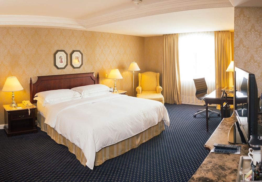 Room, 1 King Bed, Accessible
