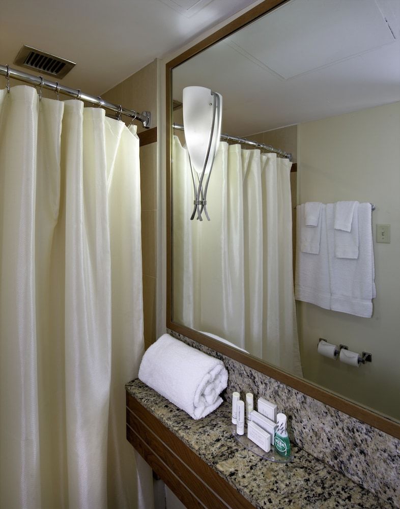 Room, 1 King Bed with Sofa bed (Hearing Accessible)