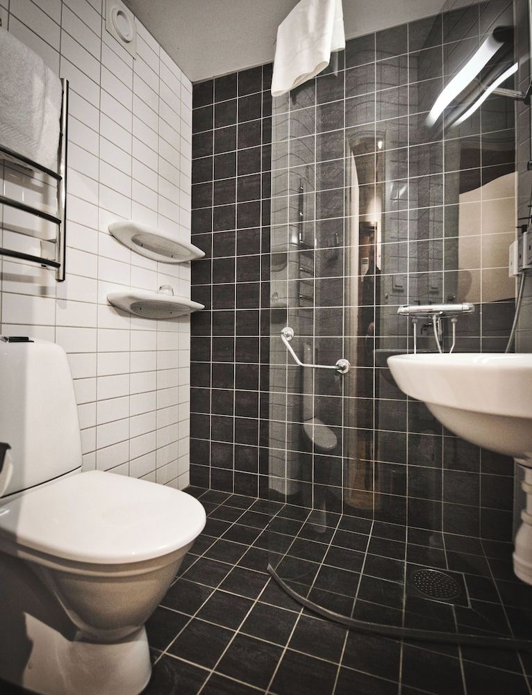 undefined Hotel Birger Jarl 7
