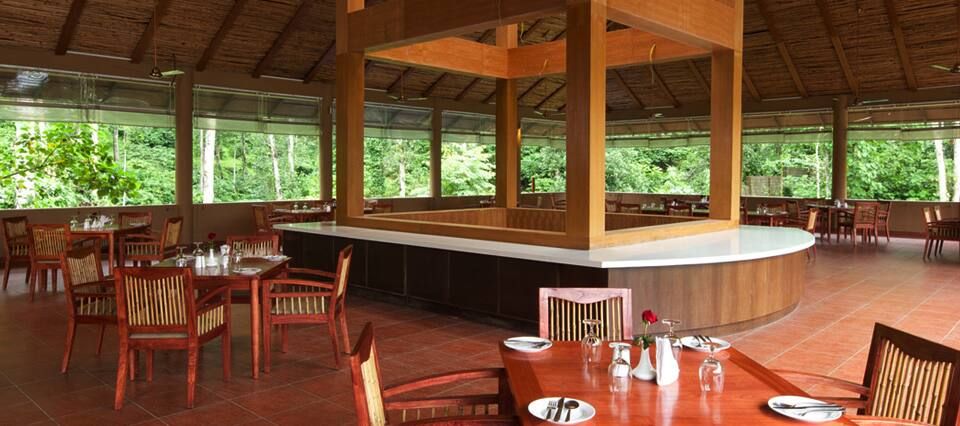 undefined Kofiland 2