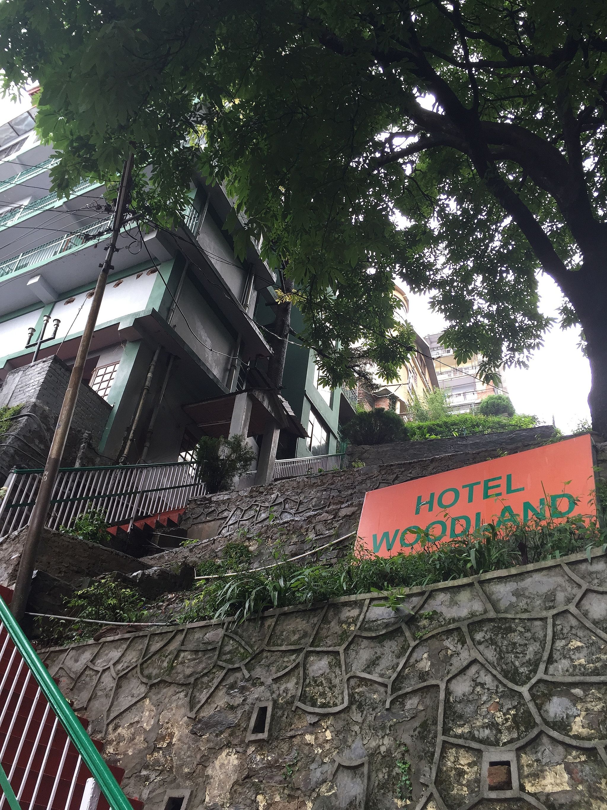undefined Hotel Woodland, Shimla 10