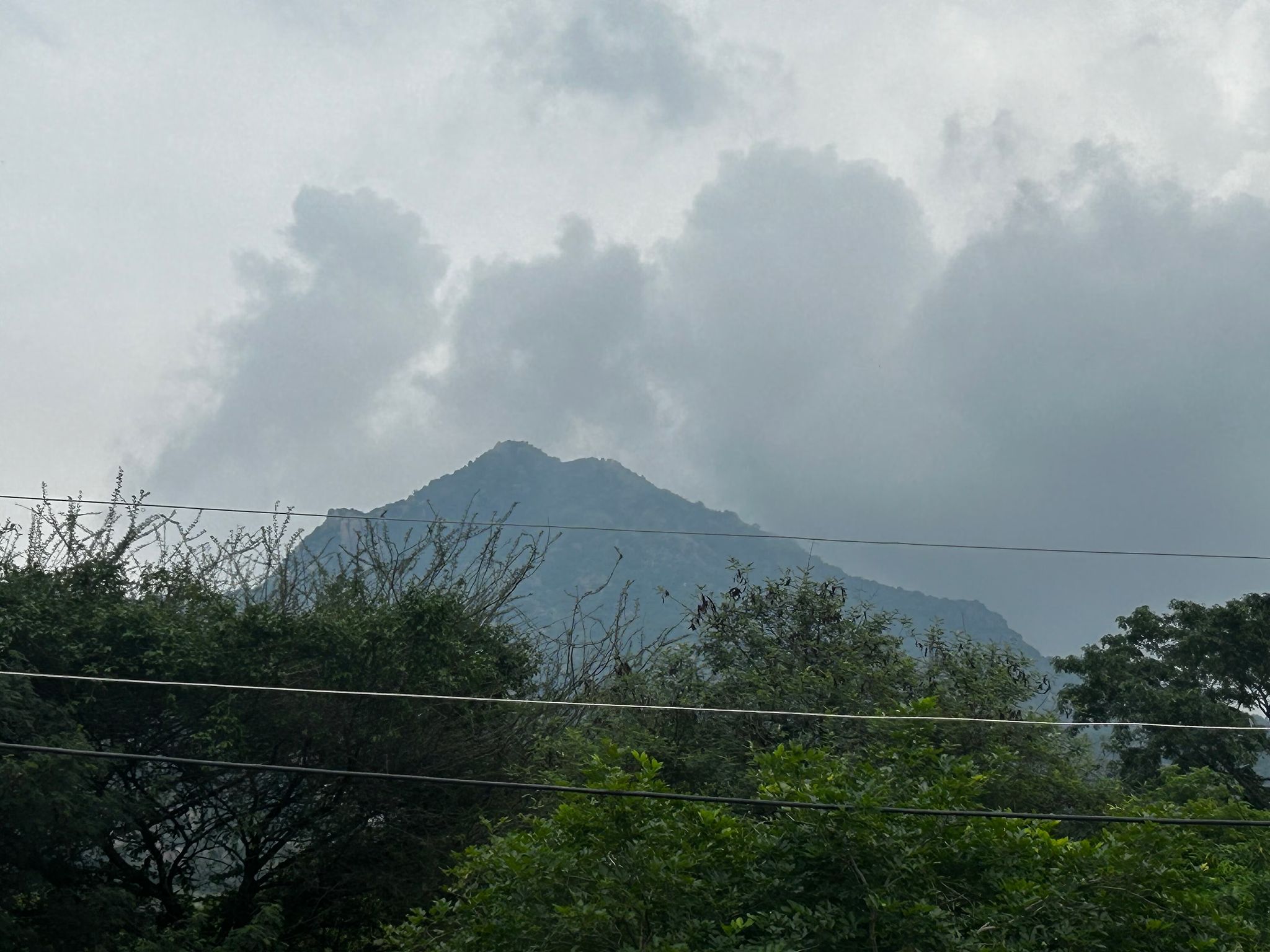 undefined Sree Shai International 2