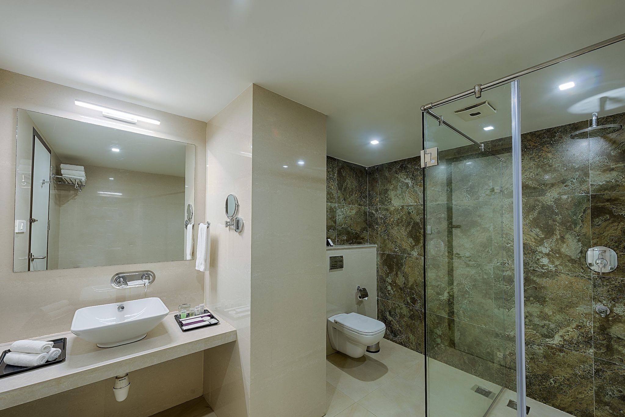 Hotel Vijay Elanza Business Room 4