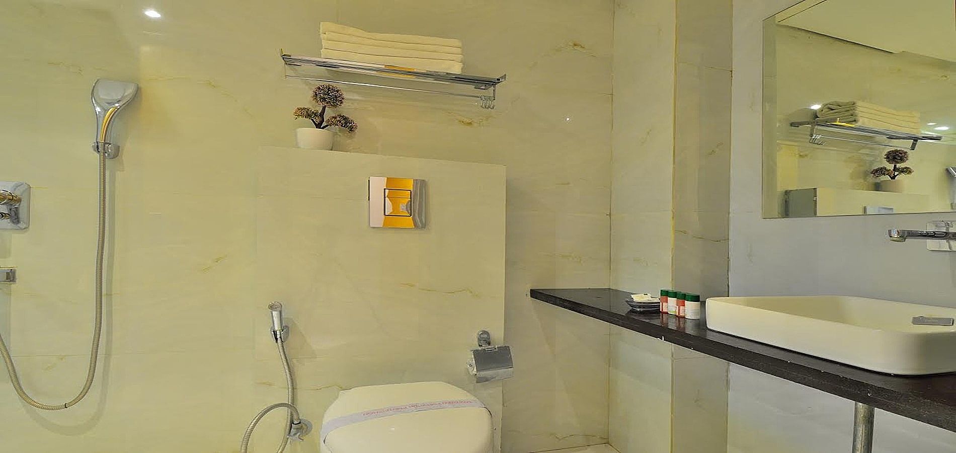 Hotel Aman Continental - Paharganj Deluxe Room 12