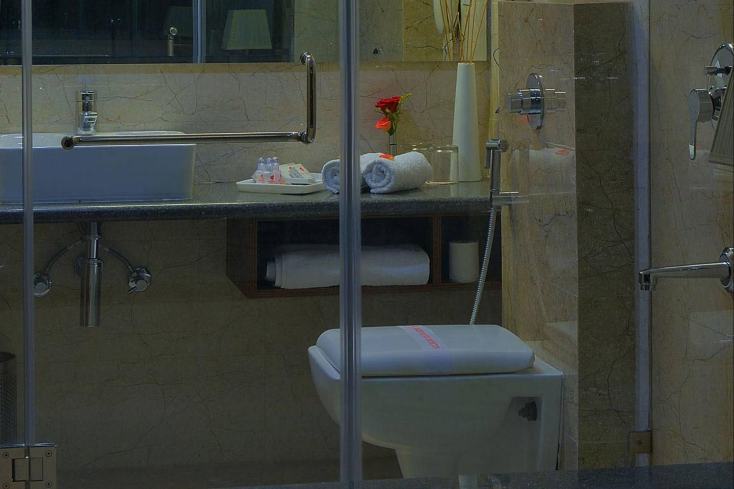 Shri Ram Empire Deluxe Room 5