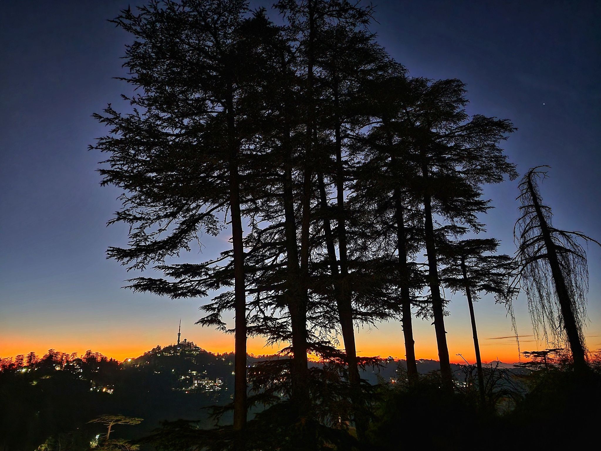 Hotel Pineview Shimla Royal Premium