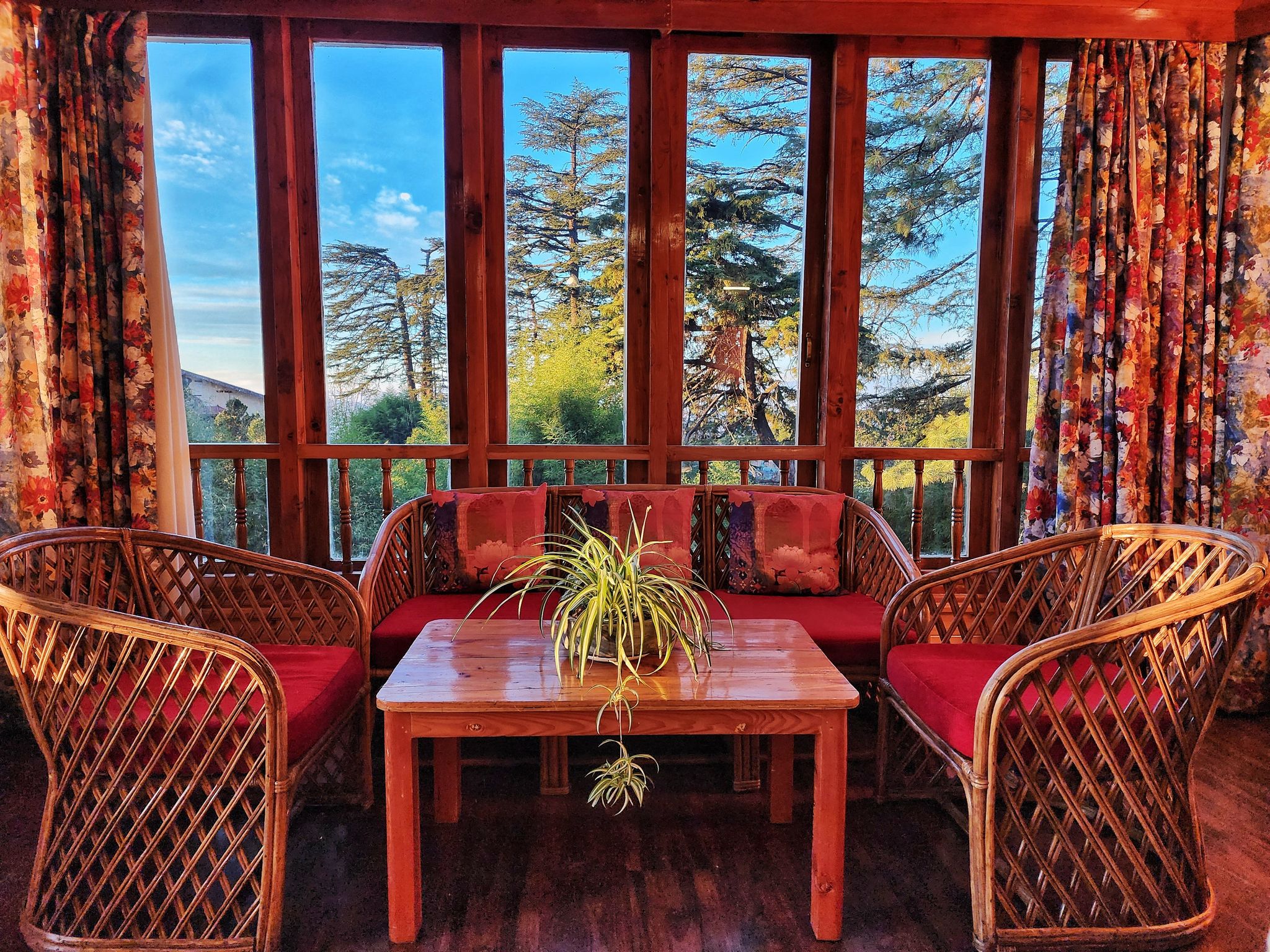 Hotel Pineview Shimla Royal Premium 3